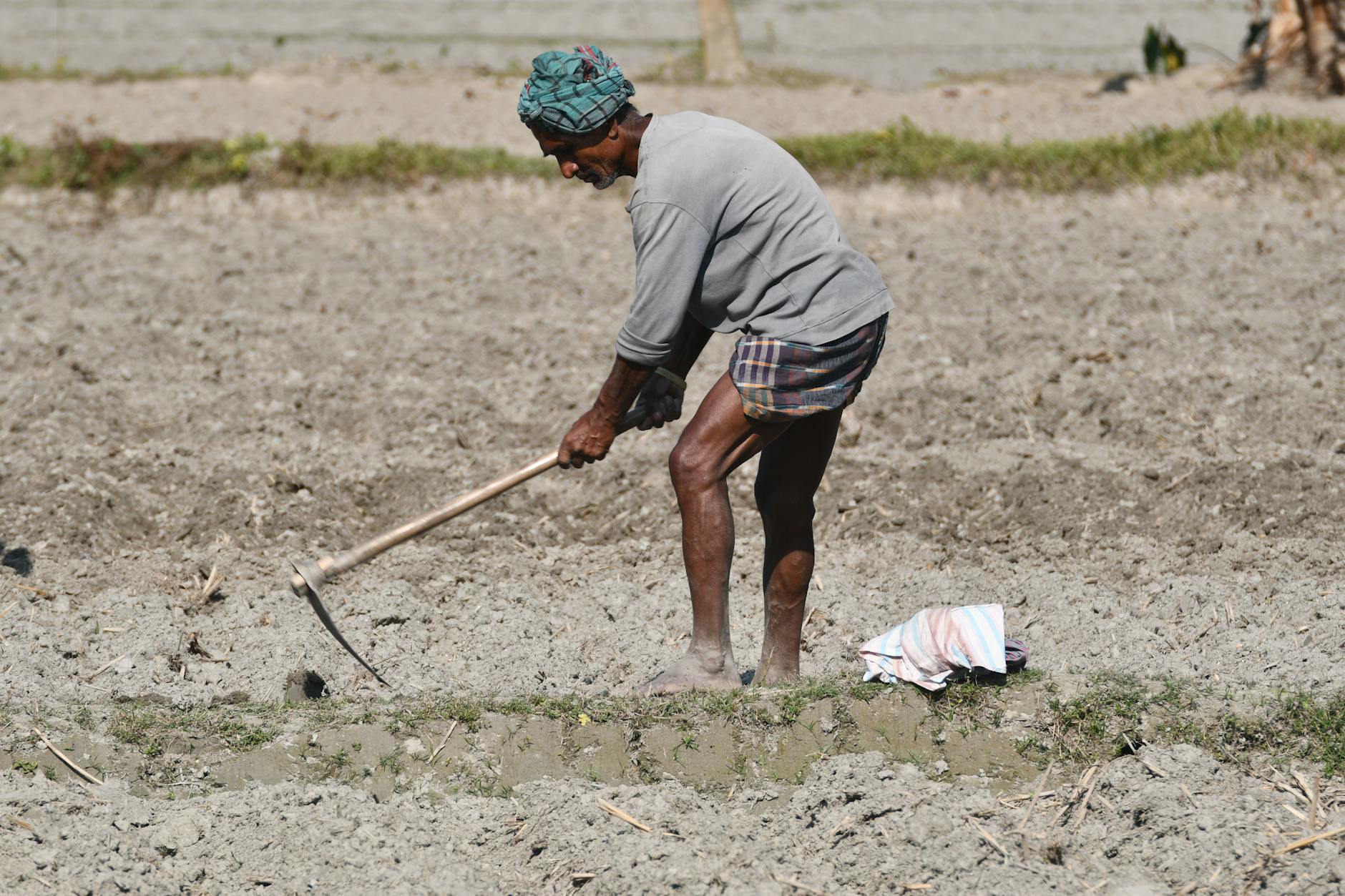 Azjatycki rolnik pracujący w ekologicznym polu uprawnym