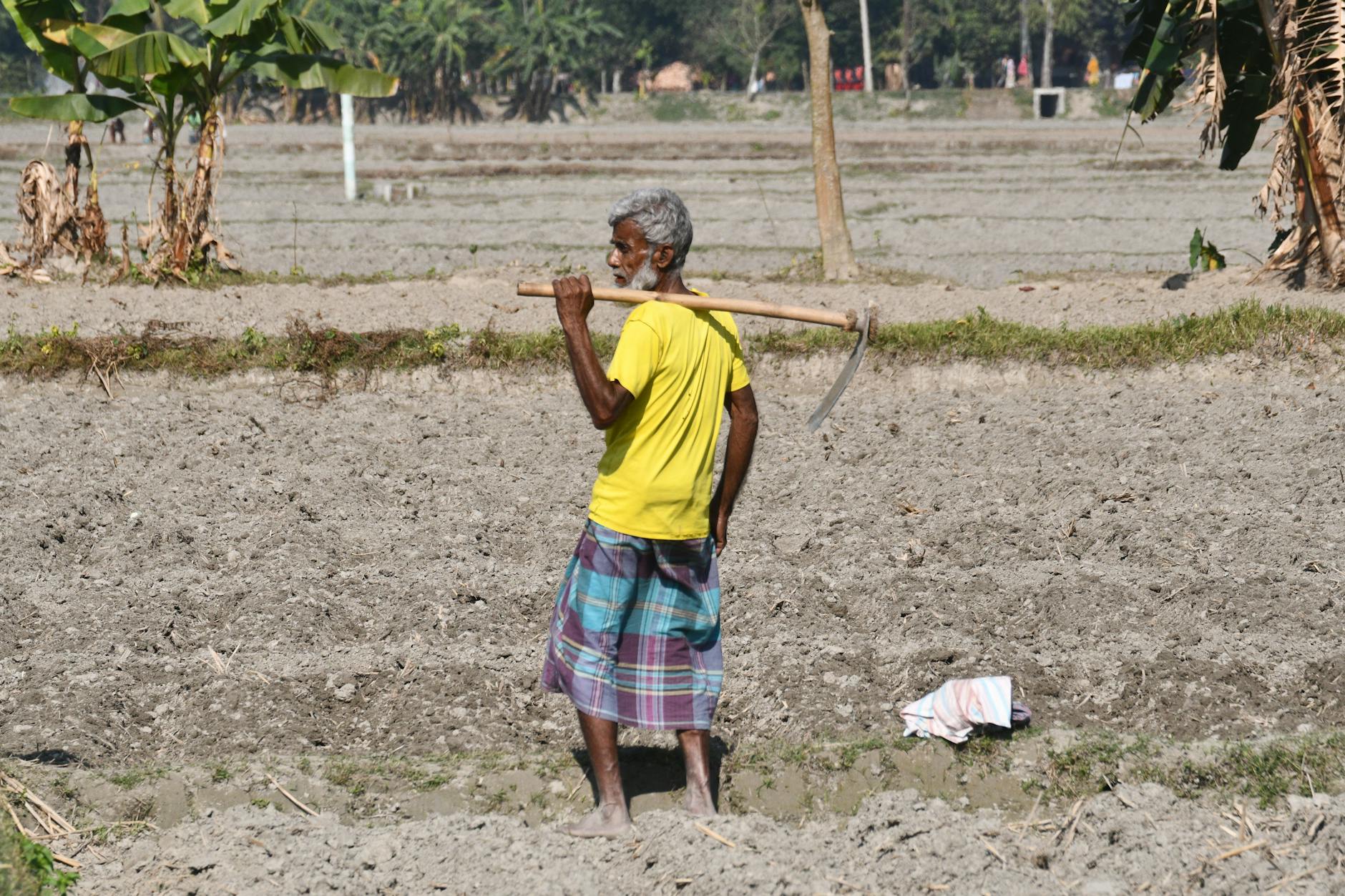 Rolnik ekologiczny ogląda pole podczas analizy gleby