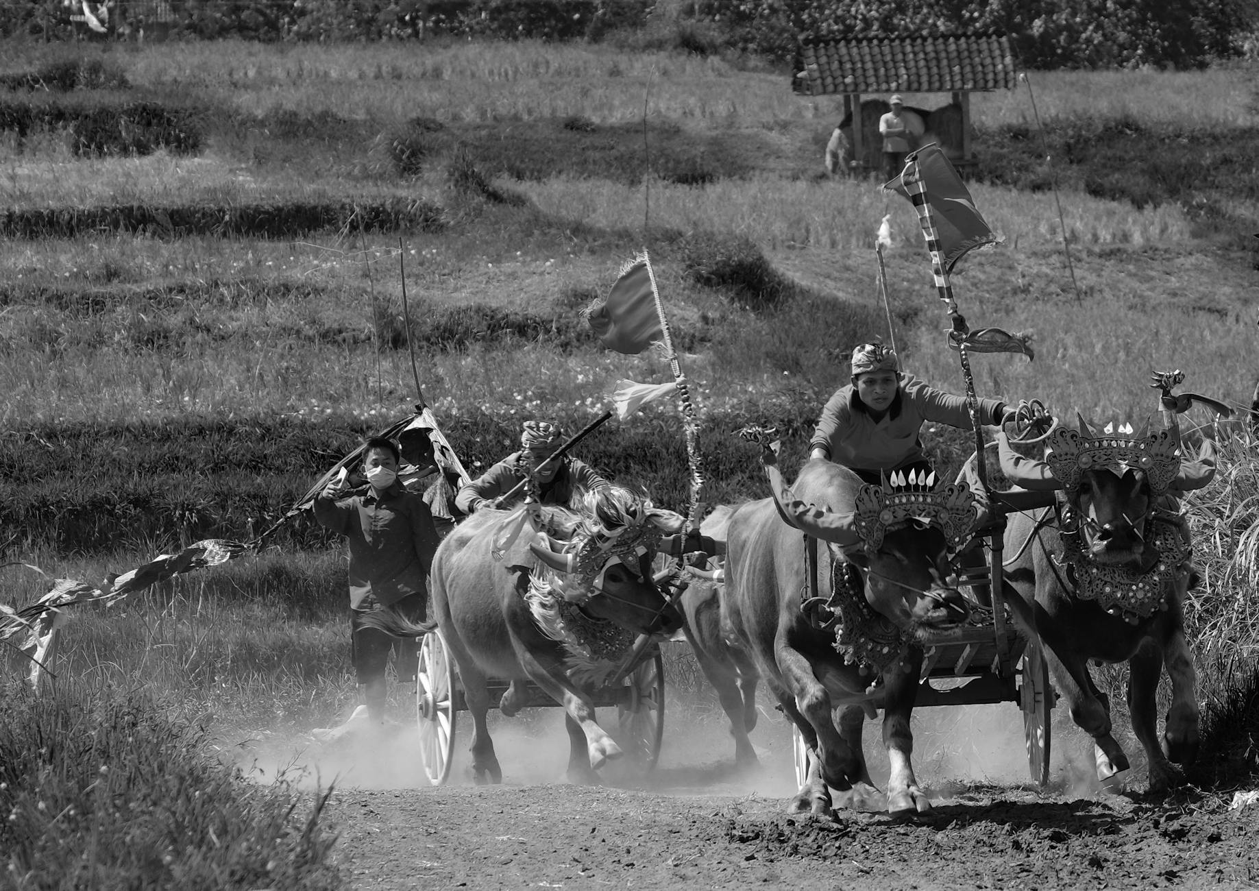 Rolnik rozsiewa wapno na polu uprawnym w gospodarstwie ekologicznym