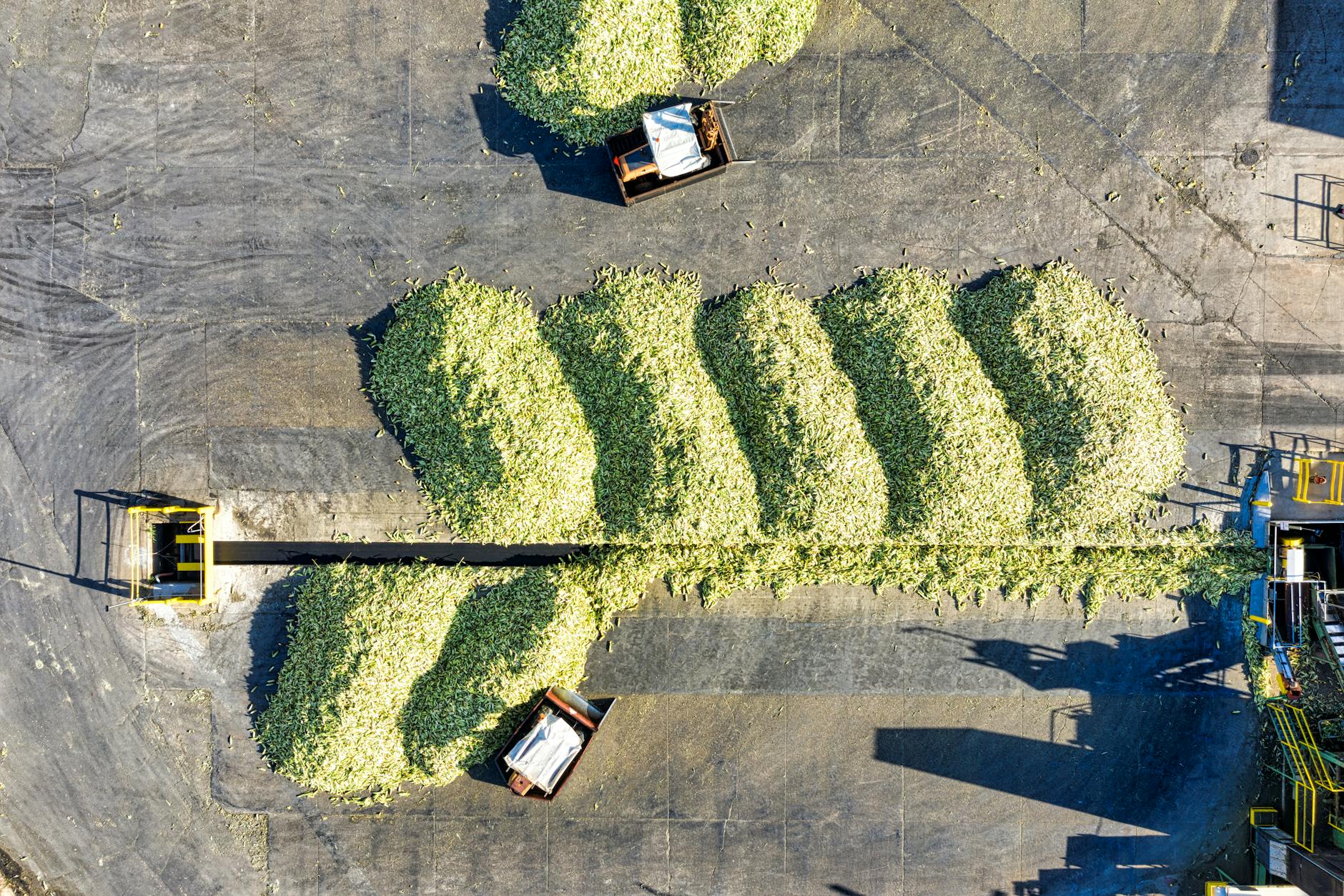 Widok z lotu ptaka na zakład przetwórstwa kukurydzy w Plainview