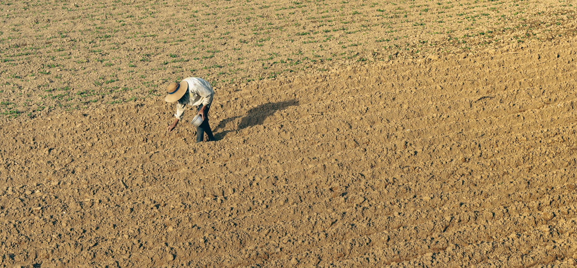 Rolnik w kapeluszu pracuje na suchej polu w letnim słońcu