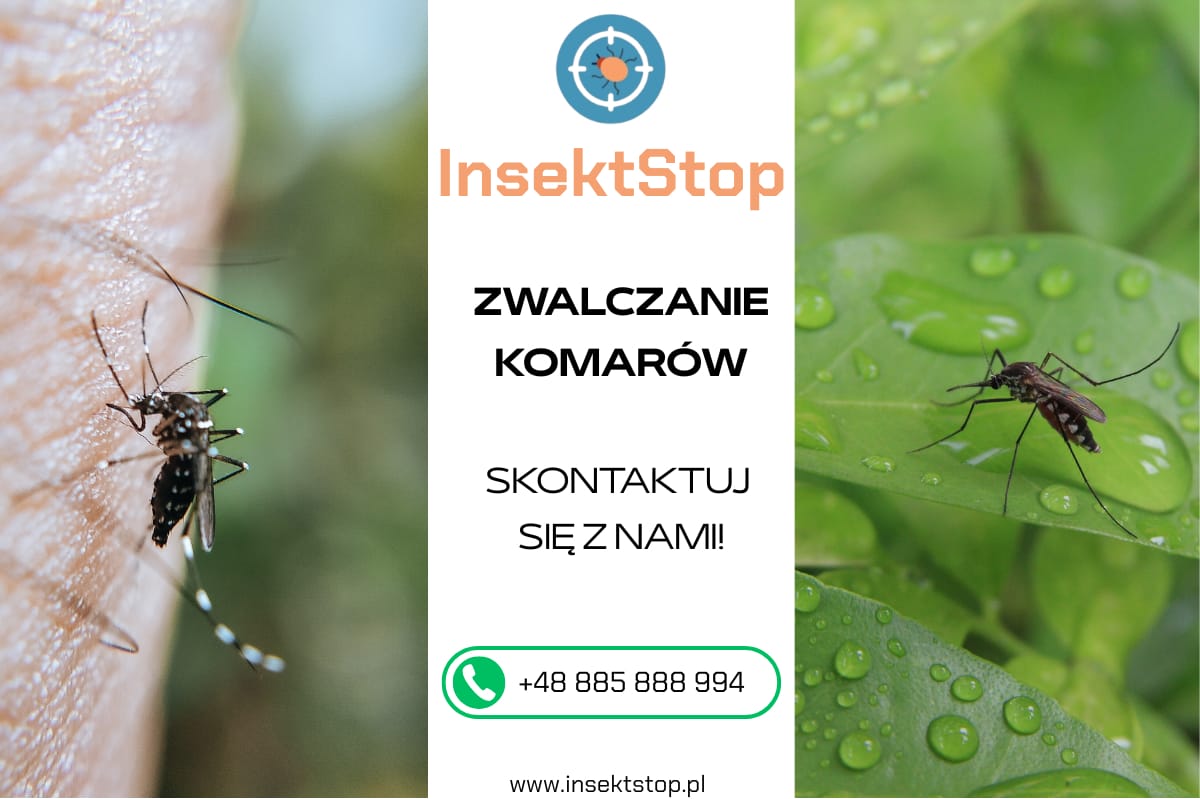 zwalczanie komarów InsektStop